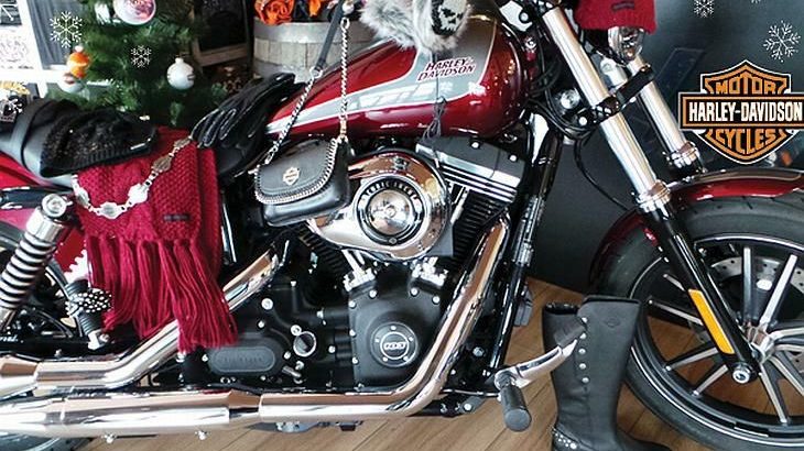 harley_1__clanak-prva.jpg