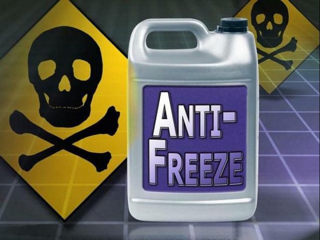 antifriz_1__clanak-prva__clanak-prva