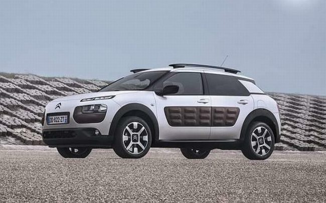 cactus_citroen__clanak-prva