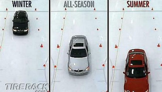 gume_1a__clanak-prva