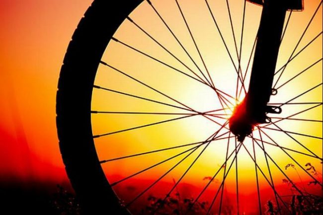 kontrola_policije__clanak-prva