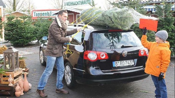 prijevoz_bora_1__clanak-prva__clanak-prva