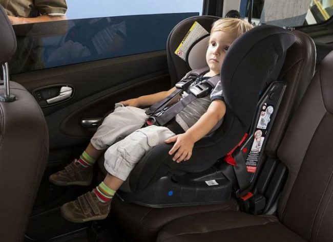 sjedalica_1__clanak-prva