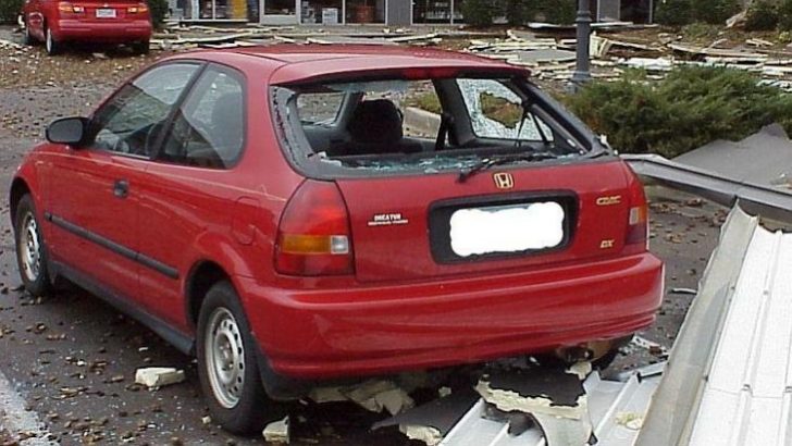 steta_na_autu__clanak-prva