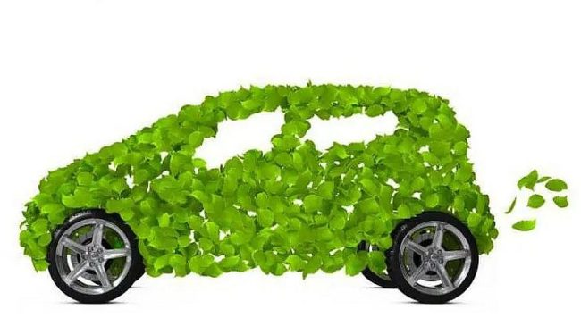 zeleni-ok-900×506-2