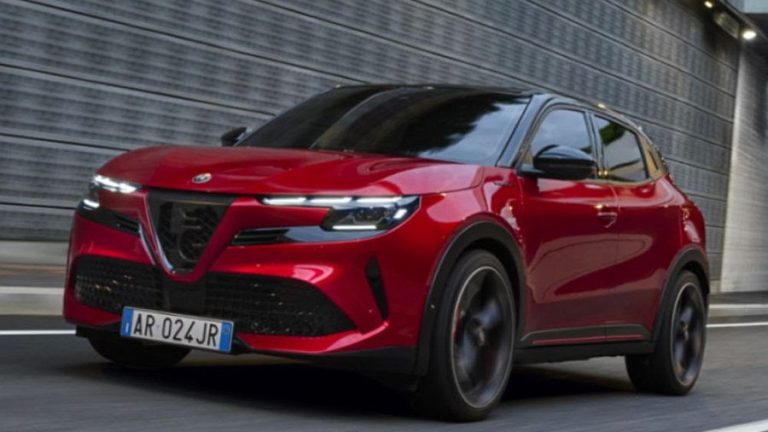 alfa coty 1