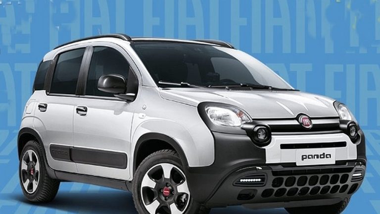 panda 1
